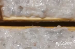 Homemade Shrimp Slurry King