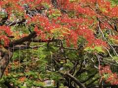 -缘生态云南菜·野生菌庭院餐厅(华侨城店)