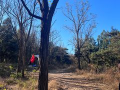 -北京西山国家森林公园