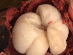 -都念榴莲·城市榴莲