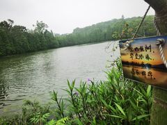 -星湖旅游景区七星岩