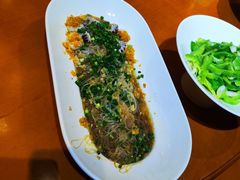 -老阿妈蒙古村·蒙古包·草原文化·歌舞表演(老君堂店)