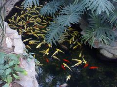 030320094645-绿色时代大酒店