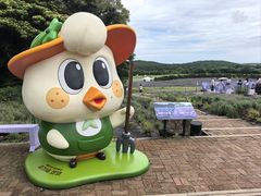-济州森林小火车生态公园
