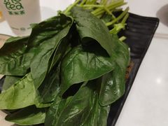 -呷哺呷哺(虹口赤峰路店)