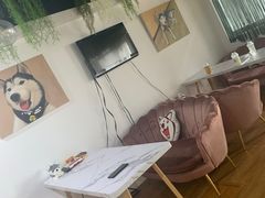 -Husky Go! 哈士奇体验馆·宠物咖啡厅狗咖