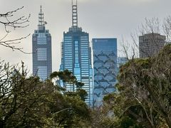 -墨尔本皇家植物园