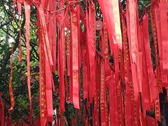 -长春观