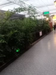 -特味村·宴会厅(生态园店)