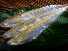 -芦潮港集贸市场