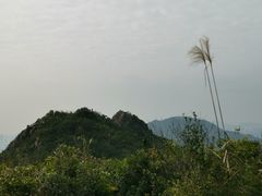 -狮子山郊野公园
