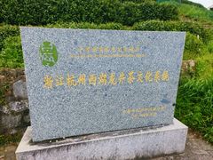 -龙井村