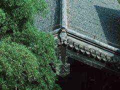 -大唐贡茶院