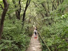 -老象峰