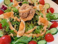 金枪鱼沙拉-铃木食堂(帽儿胡同店)