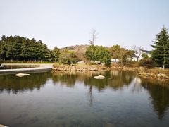 -白马涧龙池景区