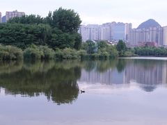 -凤池园