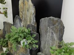 -徽张·新徽菜(五棵松·永定路店)