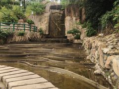 -佛山市三水区大南山森林公园
