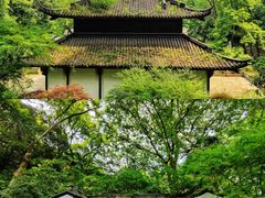 -虎跑公园