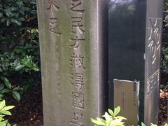 -蠡湖大桥公园