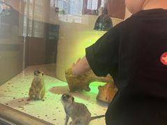 -FAIRYLAND龙族星球主题餐厅(凯丹广场店)