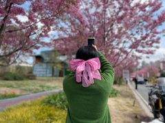 -三圣花乡旅游区