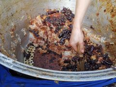 -马文章胖子甑糕(洒金桥店)