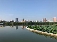 -莲花池公园