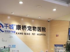 -千城康桥宠物医院CT影像·骨科·心脏专科中心(厚街分院)