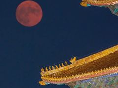 -故宫博物院(故宫)