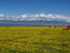 -青海湖国家重点风景名胜区