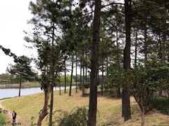 -美兰湖景区