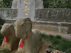 -雨花胜境