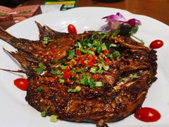 香茅草烤鱼-老滇山寨•云南特色菜•地方菜•民族风情歌舞表演(金碧店)