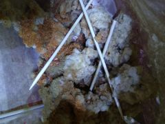 -童婆婆酥肉(双楠店)