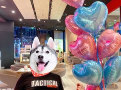 -哈根达斯(龙湖时代天街店)