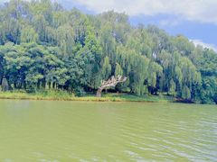 -苏州太湖国家湿地公园