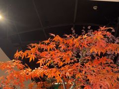 -荷塘秋月·本帮江浙菜(国权路店)