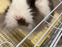 -pd派德宠物中心医院24H急重症·眼科中心·血液透析中心(嵩山北路店)