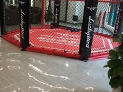 -金吉鸟健身游泳