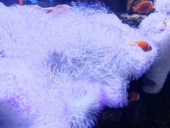 -多彩贵州城极地海洋世界