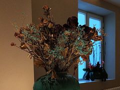 -羊门客在·烤盐池滩羊·川菜