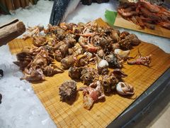 -凯悦·东方公主号 全球海鲜自助餐厅(凯丹广场店)