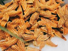 -圣罗巴海鲜自助(黑金店)