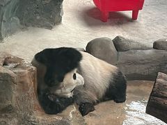 -青藏高原野生动物园