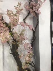 -Ly形象设计
