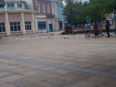 -沈阳方特欢乐世界