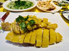 -新高记·粤菜·湛江鸡(南头古城店)