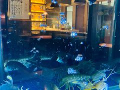 -荣轩(新荣记环球金融中心店)